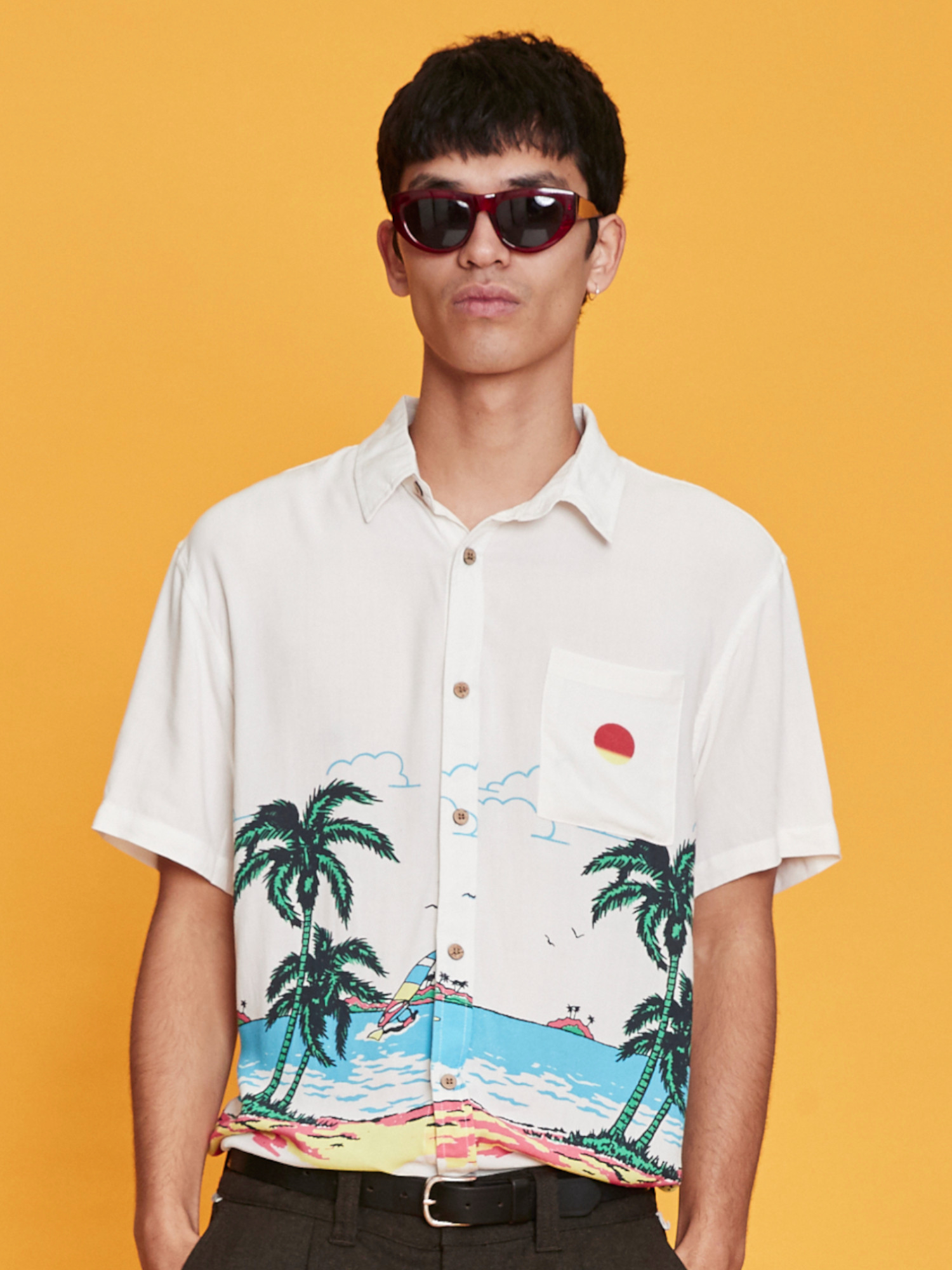 trade winds sunglasses